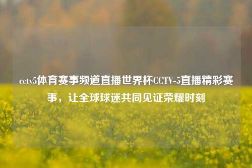 cctv5体育赛事频道直播世界杯CCTV-5直播精彩赛事，让全球球迷共同见证荣耀时刻