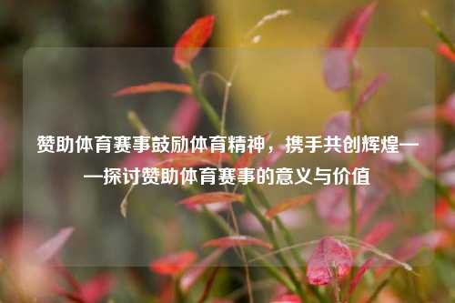 赞助体育赛事鼓励体育精神，携手共创辉煌——探讨赞助体育赛事的意义与价值
