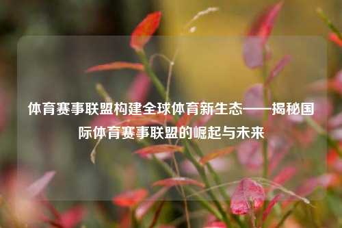 体育赛事联盟构建全球体育新生态——揭秘国际体育赛事联盟的崛起与未来