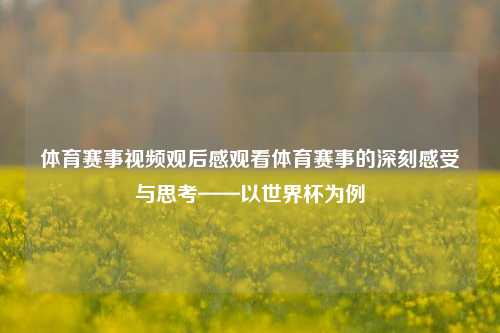 体育赛事视频观后感观看体育赛事的深刻感受与思考——以世界杯为例