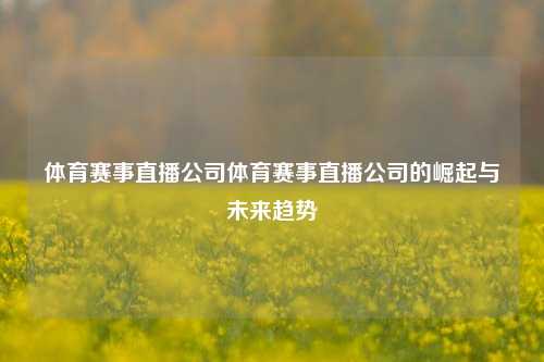 体育赛事直播公司体育赛事直播公司的崛起与未来趋势