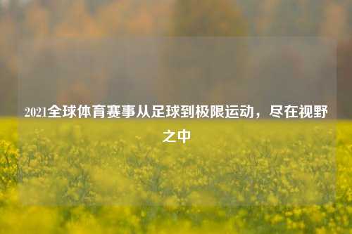2021全球体育赛事从足球到极限运动，尽在视野之中