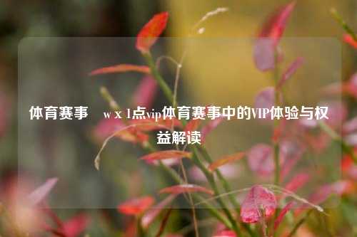 体育赛事茞wх1点vip体育赛事中的VIP体验与权益解读