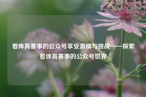 看体育赛事的公众号享受激情与挑战——探索看体育赛事的公众号世界