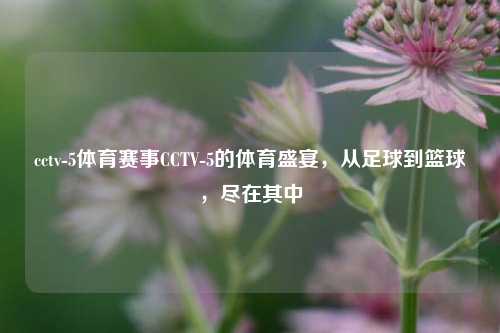 cctv-5体育赛事CCTV-5的体育盛宴，从足球到篮球，尽在其中